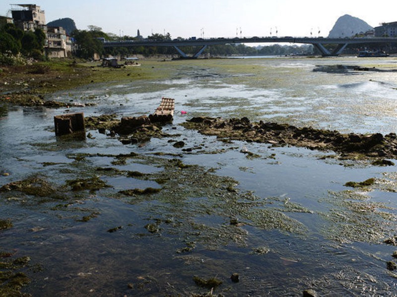 漓江的缺水問題越來越嚴重，水質面臨的壓力越來越大